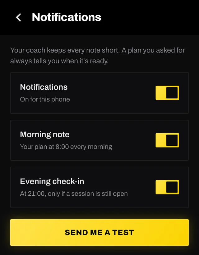 Settings, Notifications: the Notifications switch on for this phone, the Morning note and Evening check-in switches, and the Send me a test button