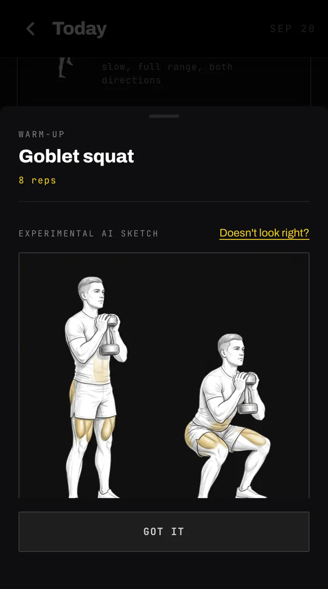 The exercise detail sheet for a goblet squat, showing the target, a labelled AI sketch of the movement and the start of the written description